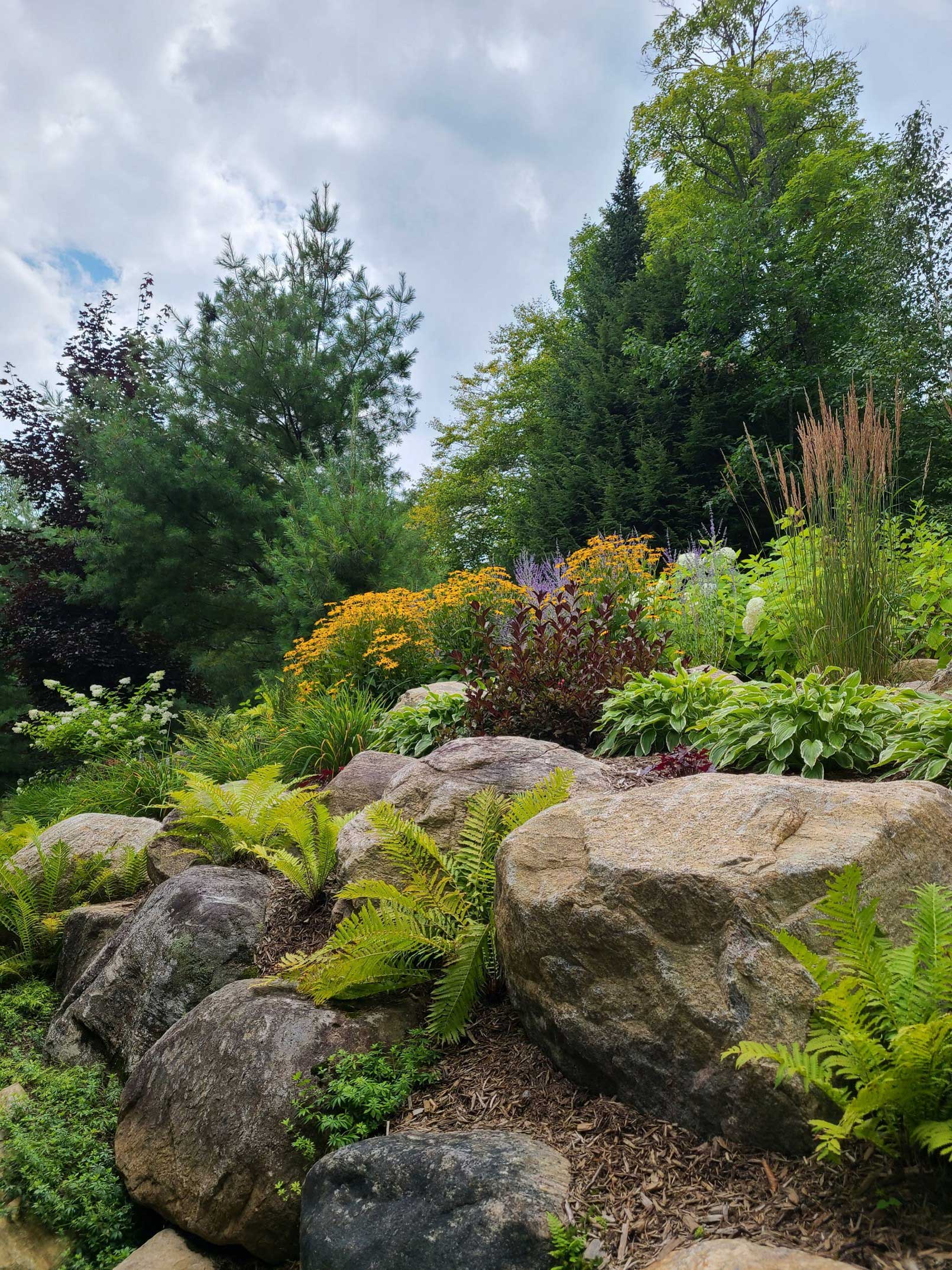 Beautiful landscaped garden with rocks and plants